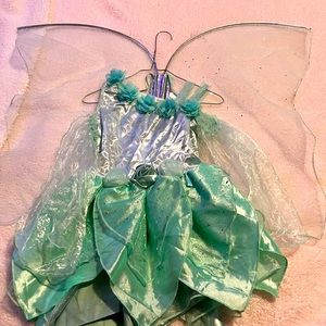 Fairy 🧚♂️ costume